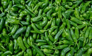 Alimentación Veselina