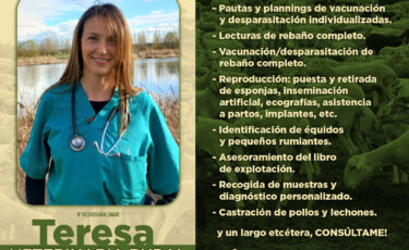 TERESA ENRÍQUEZ LOPEZ